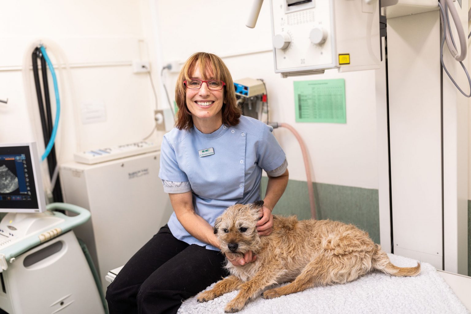 Vets » Weston Creek Veterinary Clinic