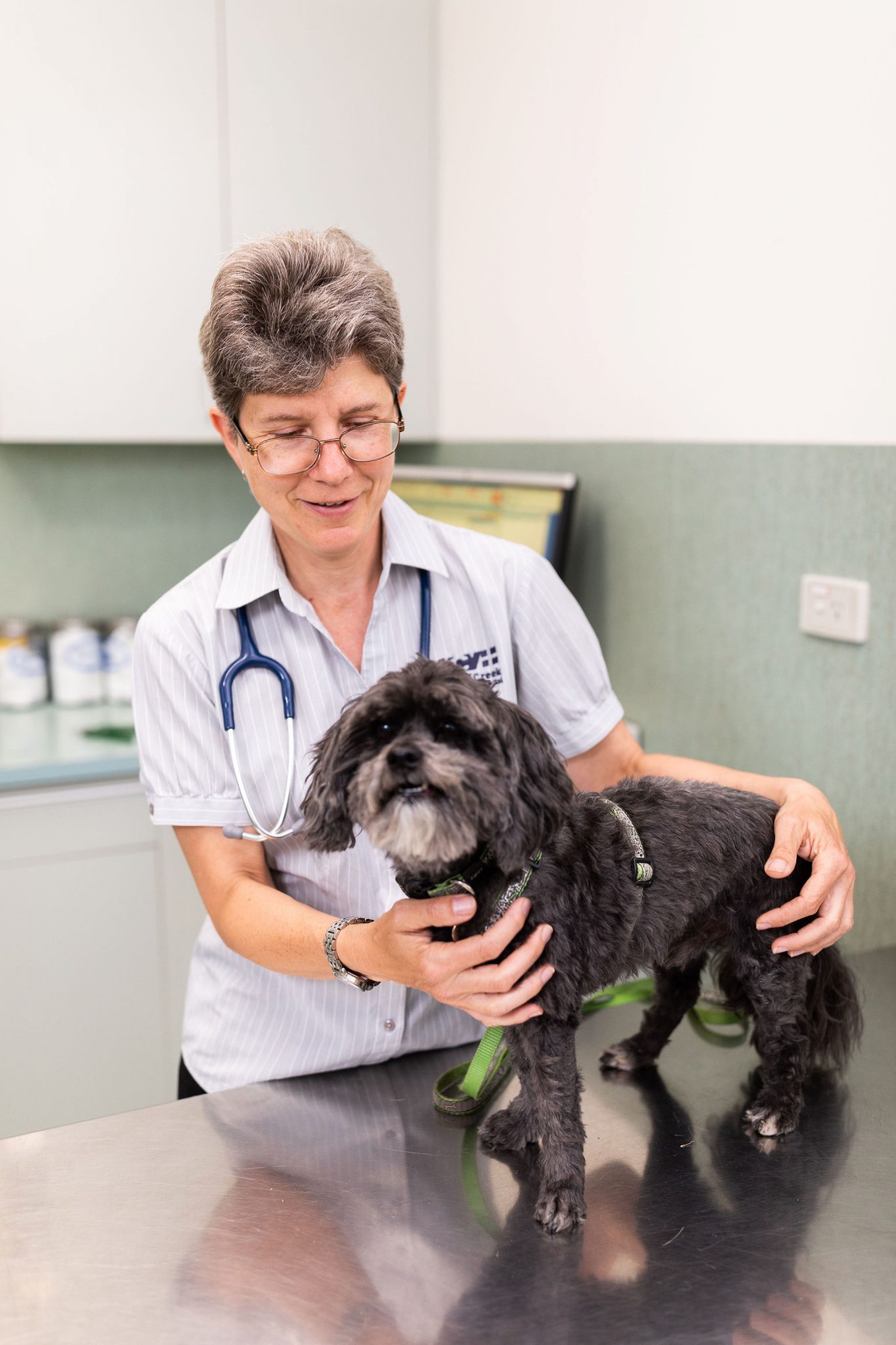 Vets » Weston Creek Veterinary Clinic